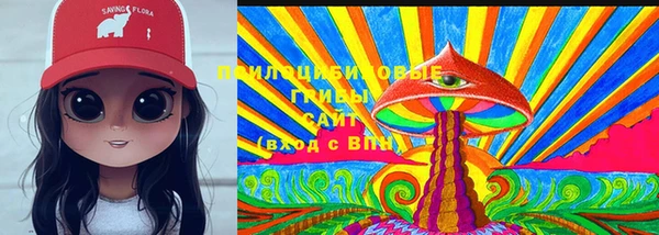 хмурый Бугульма