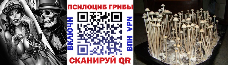 ссылка на мегу рабочий сайт  Люберцы  Галлюциногенные грибы ЛСД  купить  сайты 